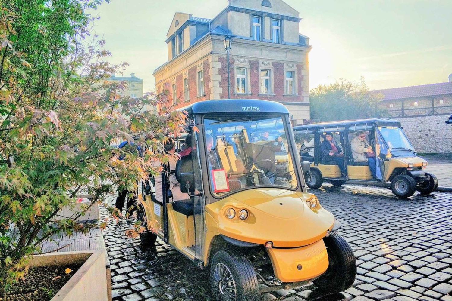 Krakau: Old Town Golf Cart Tour met Wawel Castle Tour