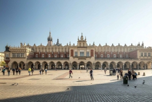 Krakow: Old Town Guided Walking Tour with Wine and Tapas