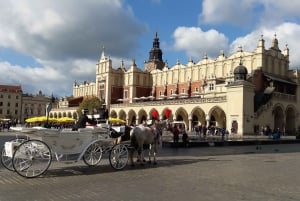Cracovia: tour privato della città vecchia e ingresso alla basilica