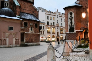 Cracovia: tour privato della città vecchia e ingresso alla basilica