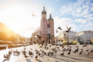 Krakow: Old Town 'Royal Route' Walking Tour