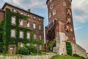 Krakow: Old Town Walking Tour with Private Guide