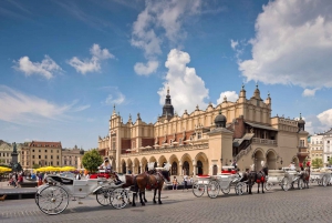 Cracóvia: passeio a pé pela cidade velha com visita ao Castelo Wawel