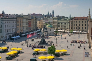 Krakow: Wawel-slottet: Rundvisning i den gamle bydel med besøg på Wawel-slottet