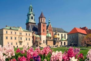 Kraków: Spacer po Starym Mieście z wizytą w zamku na Wawelu