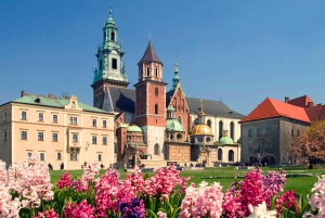 Cracovia: Recorrido a pie por el casco antiguo con visita al Castillo de Wawel