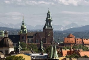 Krakow: Wawel-slottet: Gamla stan: Rundvandring i Gamla stan med besök på Wawel-slottet