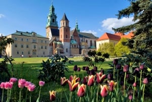 Krakova: Wawelin linnan kanssa