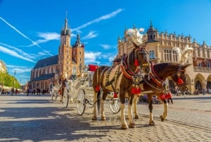 Krakow: Old Town Walking Tour