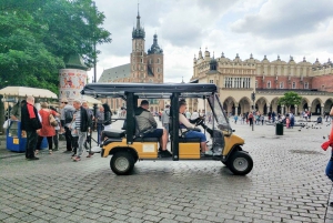 Krakow: Old Town, Wawel, and Underground Museum with Lunch