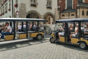 Krakau: oude binnenstad, Wawel en ondergronds museum met lunch