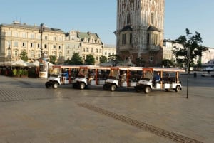Cracovia: Tour privato della città con auto elettrica e audioguida