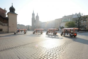 Cracovia: Tour privato della città con auto elettrica e audioguida