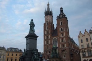 Krakow: Privat halvdagstur i byen med lokale