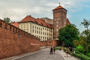Krakow: Privat halvdagstur i byen med lokale