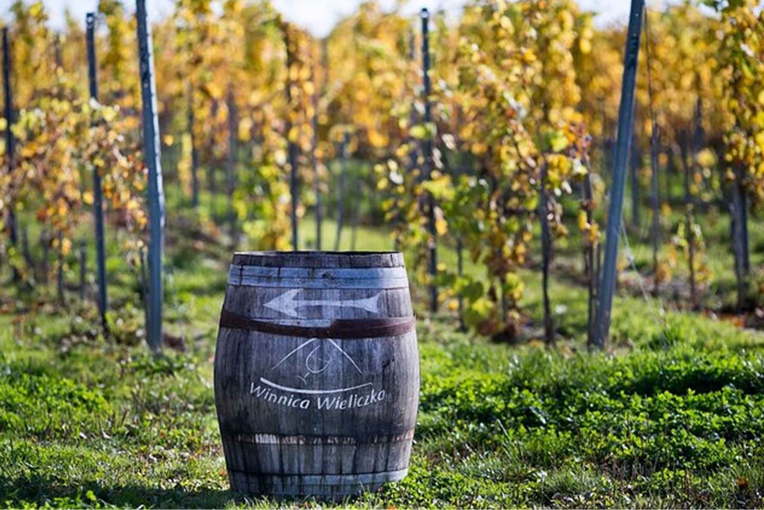 Cracóvia: tour particular pelos campos de lavanda e degustação de vinhos