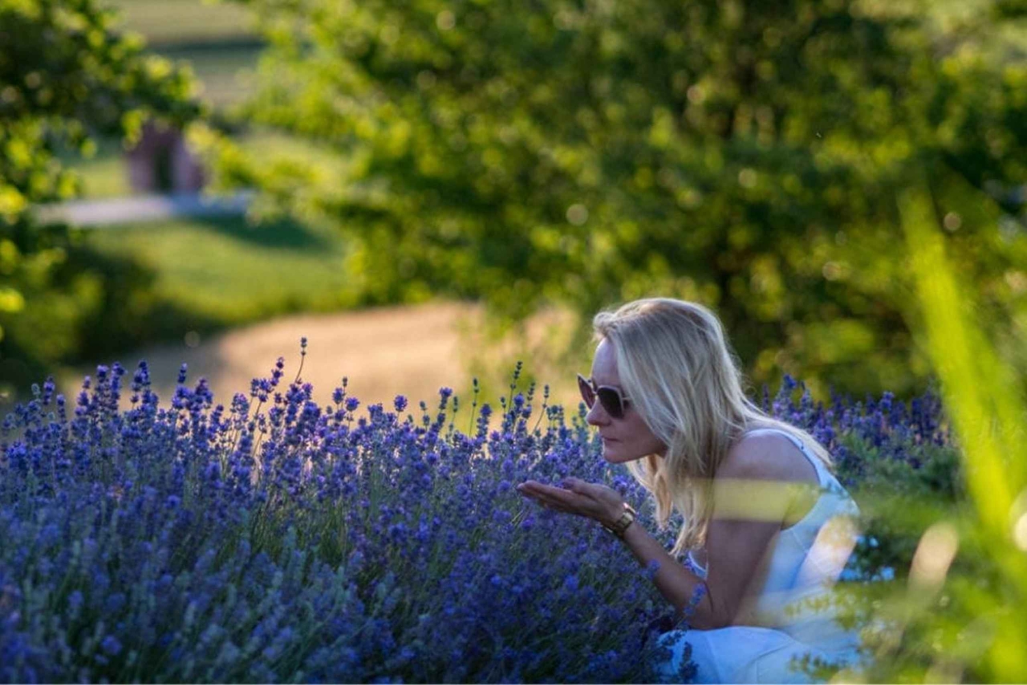 Cracóvia: tour particular pelos campos de lavanda e degustação de vinhos
