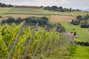 Cracóvia: tour particular pelos campos de lavanda e degustação de vinhos