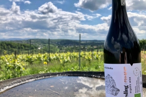 Cracóvia: tour particular pelos campos de lavanda e degustação de vinhos