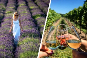 Cracóvia: tour particular pelos campos de lavanda e degustação de vinhos