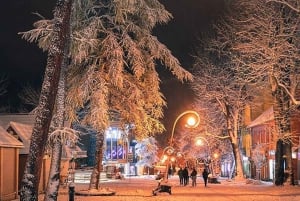 Cracovia: Traslado privado de ida a/desde Zakopane