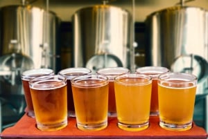 Krakow: Privat polsk ølsmagningstur med en ølekspert