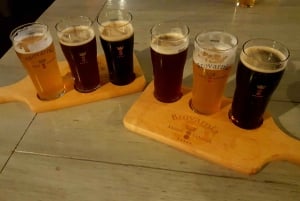 Cracovia: tour privato di degustazione di birra polacca con un esperto di birra