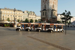 Krakow: Private Sightseeing by Electric Car