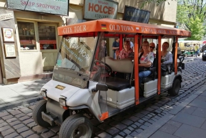 Krakau: Private Sightseeing Tour mit dem Elektroauto