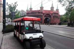 Krakova: Yksityinen kaupunkikierros sähköautolla