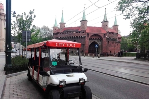 Krakau: Private Sightseeingtour im Elektroauto