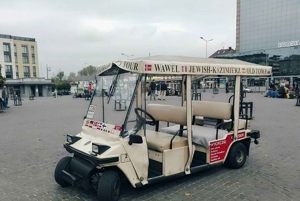 Krakau: Private Sightseeingtour im Elektroauto
