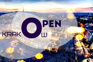 Krakau: Private Sightseeingtour im Elektroauto