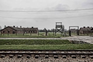 Krakow to Auschwitz-Birkenau: Private Round-Trip Experience