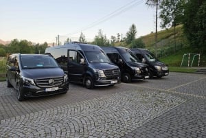 Krakova : Yksityiskuljetus Auschwitz-Birkenau-museoon