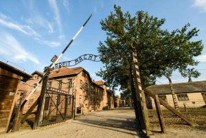 Krakova : Yksityiskuljetus Auschwitz-Birkenau-museoon