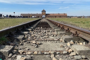 Krakova : Yksityiskuljetus Auschwitz-Birkenau-museoon