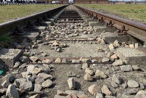 Kraków : Privat transport til Auschwitz-Birkenau-museet