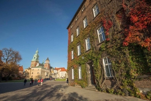 Krakau: Rondleiding met gids door de Koninklijke Kathedraal en de Stadsbasiliek