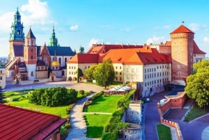 Kraków: Wawel (zamek i wzgórze) bez kolejki z przewodnikiem