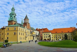 Krakow: Skip the Line Wawel Castle & Cathedral Private Tour