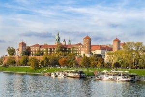Cracóvia: excursão privada sem fila ao Castelo de Wawel e à Catedral