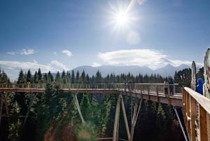 Cracóvia: Eslováquia Treetop Walk & Zakopane Tour (serviço de busca no hotel)