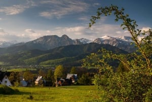 Cracóvia: Eslováquia Treetop Walk & Zakopane Tour (serviço de busca no hotel)