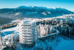 Cracóvia: Eslováquia Treetop Walk & Zakopane Tour (serviço de busca no hotel)