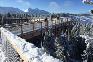 Cracóvia: Eslováquia Treetop Walk & Zakopane Tour (serviço de busca no hotel)