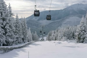 Cracóvia: Eslováquia Treetop Walk & Zakopane Tour (serviço de busca no hotel)