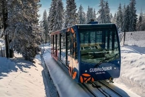 Cracóvia: Eslováquia Treetop Walk & Zakopane Tour (serviço de busca no hotel)