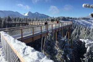 Krakow: Slovakia Treetop Walk & Zakopane in Tatra Mountains