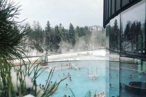 Krakow: Snowmobile Ride with Thermal Pools and Hotel Pickup